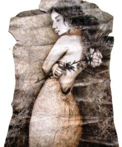 Rose with Daily Life