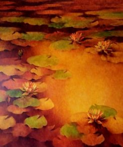 Waterlilies 7